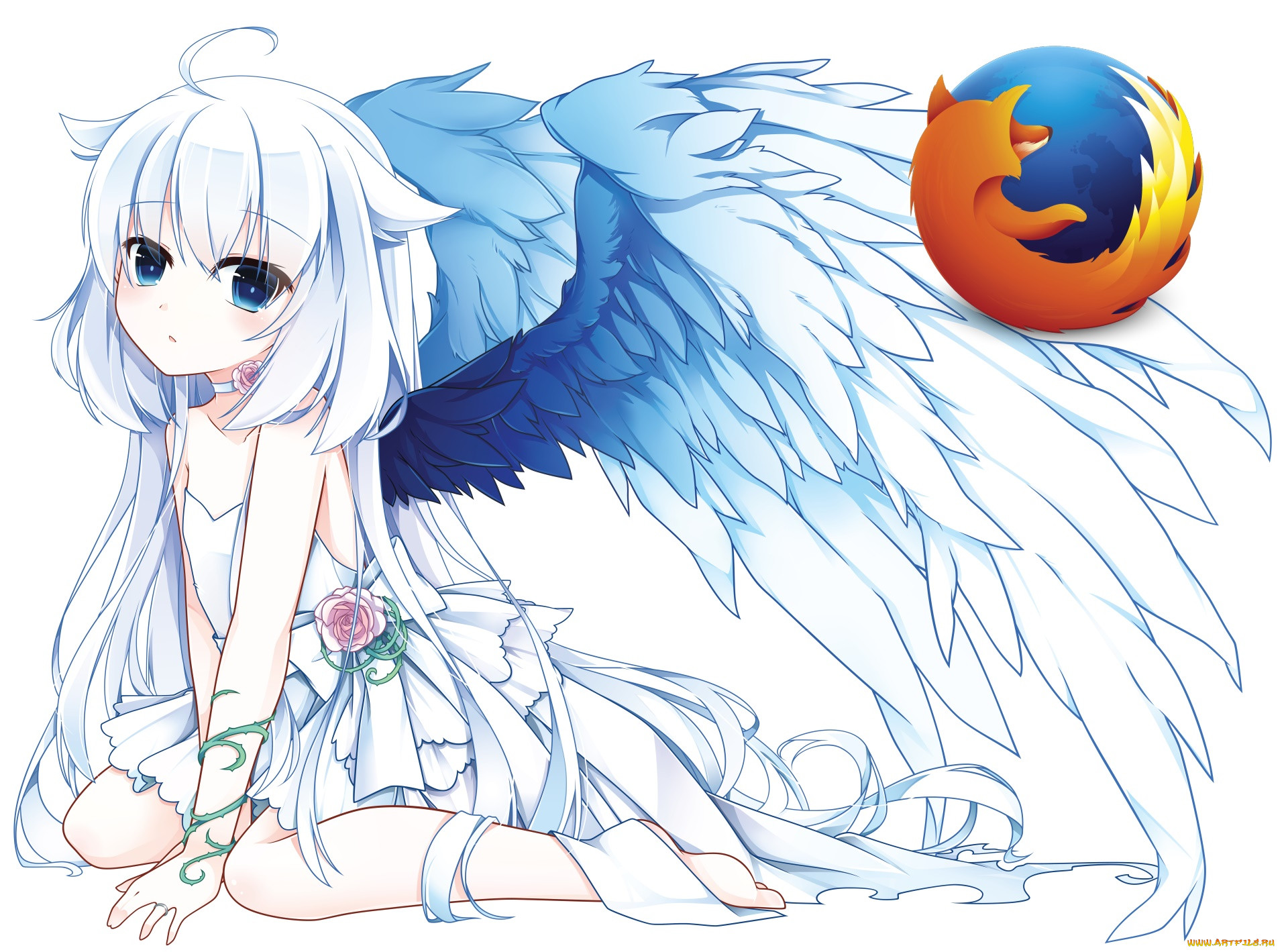 , mozilla firefox, , , , 